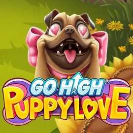 Go High Puppy Love slot logo by RubyPlay at Rodeo Casino
