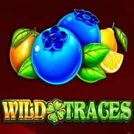 Wild Traces online slot from Amusnet Interactive – play at rodeoslots.net